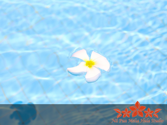 フラダンス初心者、ダンス未経験者の方